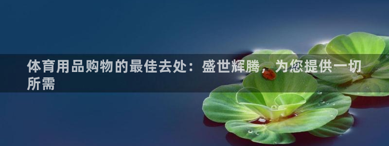 欧陆娱乐可以退钱吗安全吗：体育用品购物的最佳去处：盛