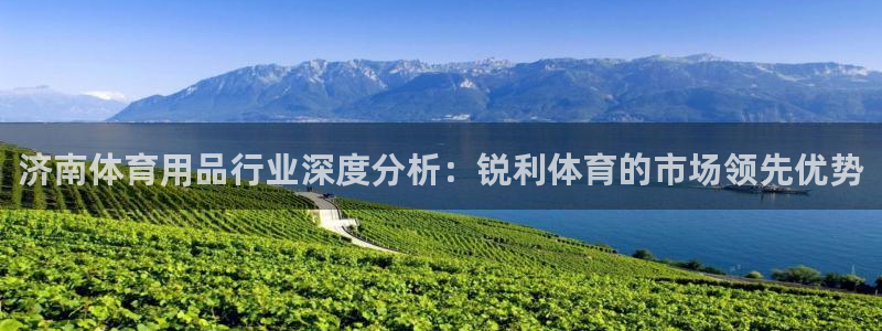 欧陆娱乐平台登陆地址是什么意思：济南体育用品行业深度
