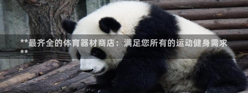 欧陆娱乐突然登录不了了：**最齐全的体育器材商店：满