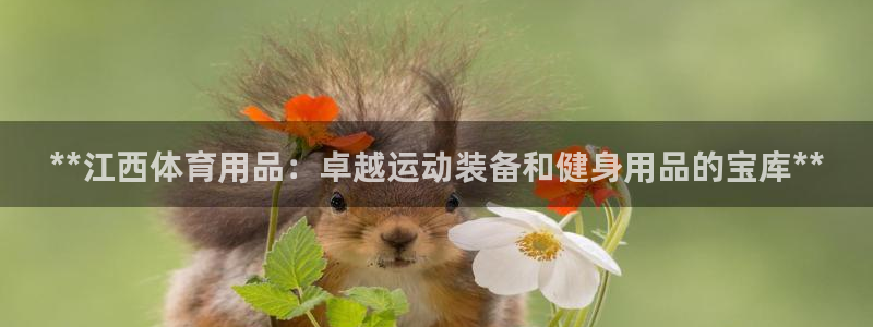 欧陆娱乐欢迎访问：**江西体育用品：卓越运动装备和健