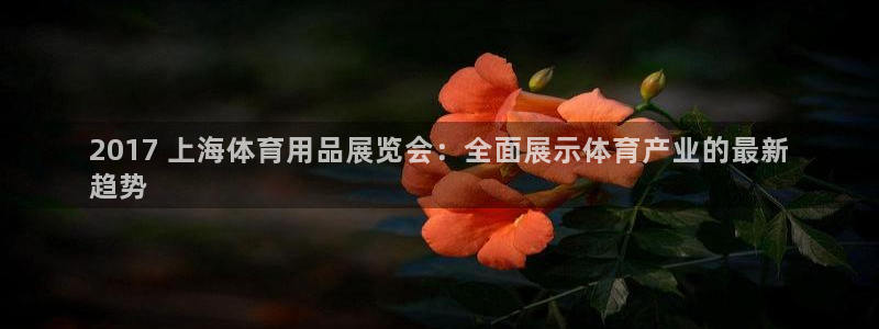 欧陆娱乐太阳：2017 上海体育用品展览会：全面展示