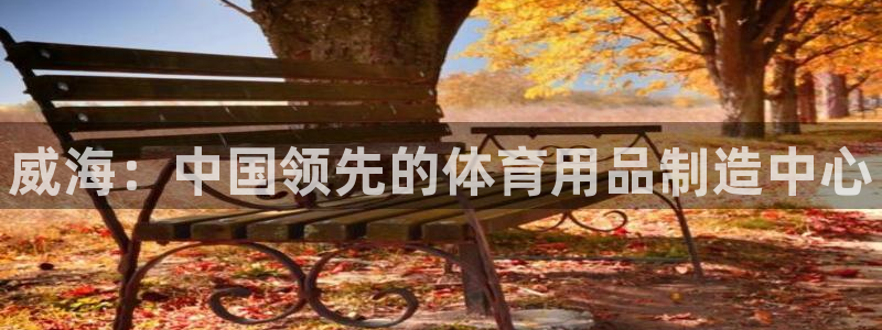 欧陆娱乐平台登录不上去：威海：中国领先的体育用品制造