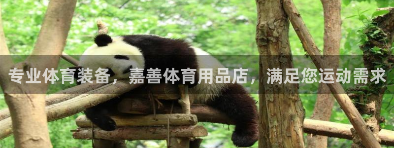 欧陆娱乐官网注册中心在哪：专业体育装备，嘉善体育用品