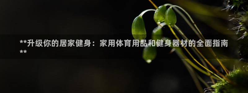 欧陆娱乐平台登陆地址在哪看：**升级你的居家健身：家