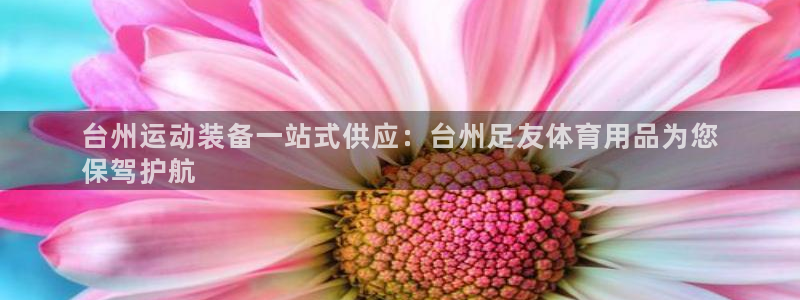 欧陆平台：台州运动装备一站式供应：台州足友体育用品为