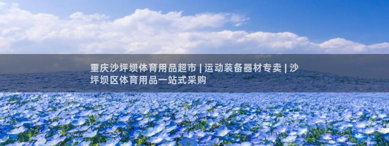 欧陆娱乐客服电话人工服务：重庆沙坪坝体育用品超市 |