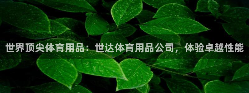 欧陆娱乐总代理电话：世界顶尖体育用品：世达体育用品公