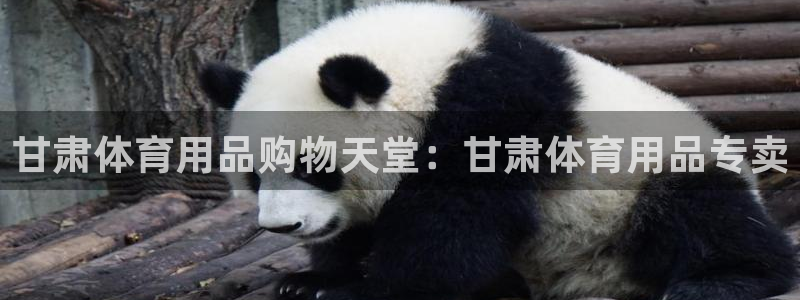 欧陆官网下载：甘肃体育用品购物天堂：甘肃体育用品专卖