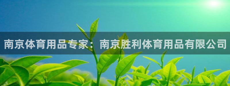 欧陆娱乐登录平台官网：南京体育用品专家：南京胜利体育