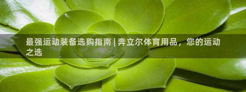 欧陆娱乐平台登陆地址：最强运动装备选购指南 | 奔立