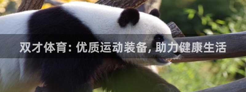 欧陆娱乐计划预测软件：双才体育: 优质运动装备, 助