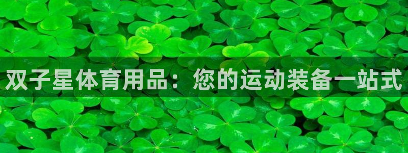 欧陆娱乐会员：双子星体育用品：您的运动装备一站式