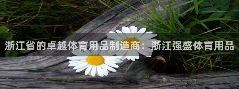 欧陆娱乐是那个旗下的品牌公司：浙江省的卓越体育用品制