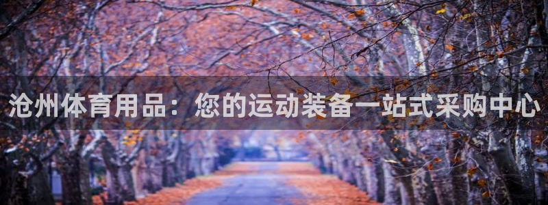 欧陆公司在哪里：沧州体育用品：您的运动装备一站式采购