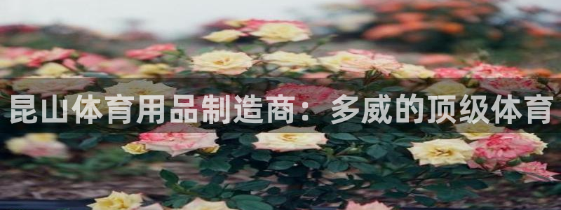 欧陆娱乐客服服务怎么样：昆山体育用品制造商：多威的顶