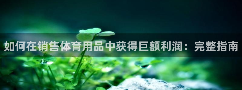 欧陆娱乐平台登录不上去：如何在销售体育用品中获得巨额