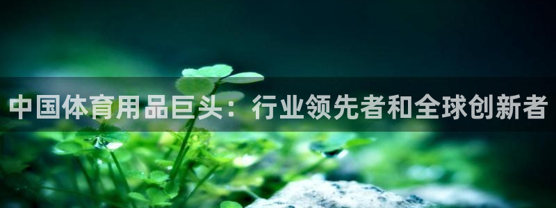 欧陆软件官网：中国体育用品巨头：行业领先者和全球创新