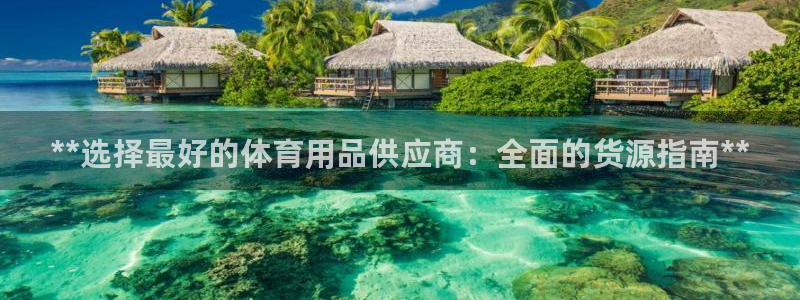 欧陆娱乐挂机怎么玩：**选择最好的体育用品供应商：全