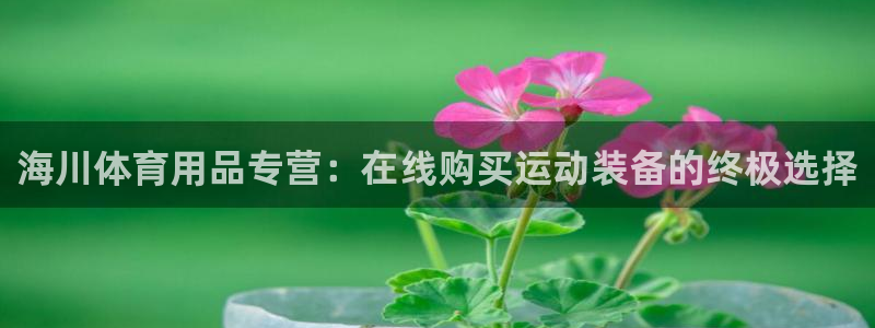 欧陆娱乐登录平台官网：海川体育用品专营：在线购买运动