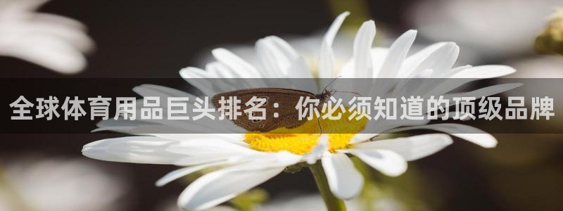 欧陆娱乐app打不开怎么回事视频：全球体育用品巨头排