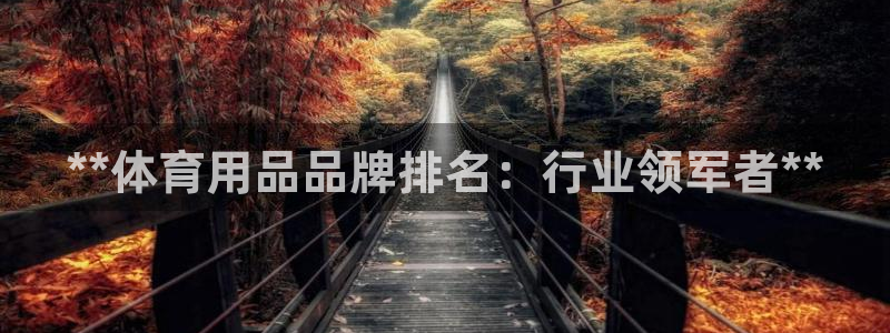 欧陆娱乐客服电话：**体育用品品牌排名：行业领军者*