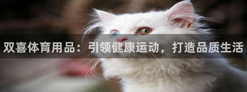 欧陆娱乐是那个旗下的品牌：双喜体育用品：引领健康运动