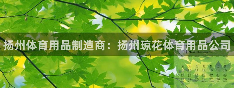 欧陆娱乐计划预测软件有哪些：扬州体育用品制造商：扬州