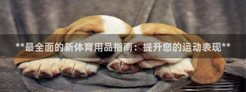 欧陆娱乐注册代理：**最全面的新体育用品指南：提升您