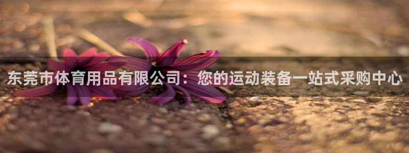 欧陆娱乐代理多少个点位啊：东莞市体育用品有限公司：您