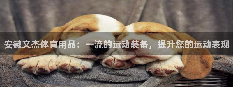 欧陆娱乐代理 贴吧：安徽文杰体育用品：一流的运动装备