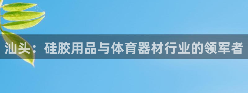 欧陆娱乐登录平台下载：汕头：硅胶用品与体育器材行业的