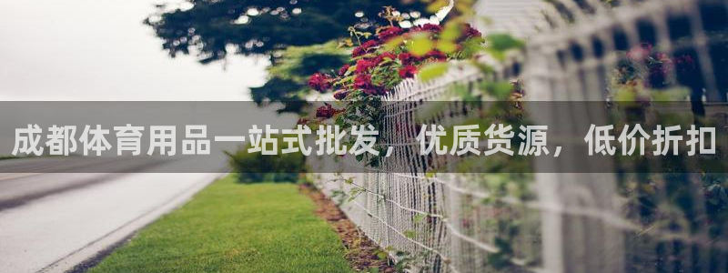 欧陆娱乐官方网站：成都体育用品一站式批发，优质货源，