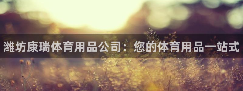 欧陆娱乐测试网站：潍坊康瑞体育用品公司：您的体育用品