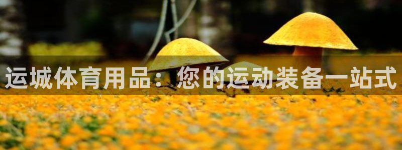 欧陆娱乐欧陆主管：运城体育用品：您的运动装备一站式