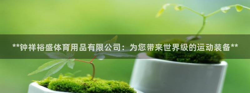 欧陆娱乐总代理电话：**钟祥裕盛体育用品有限公司：为