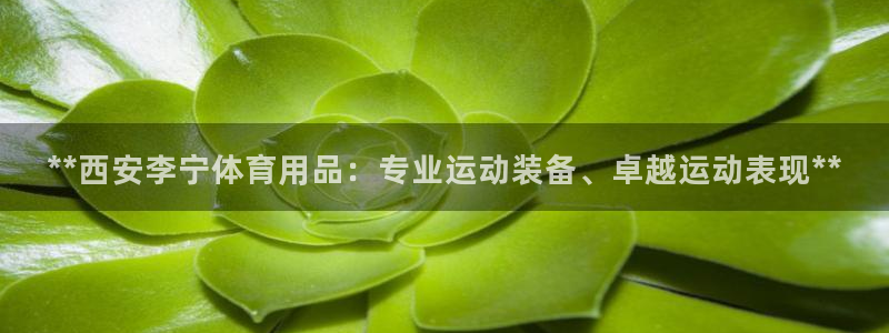 欧陆娱乐信誉吗：**西安李宁体育用品：专业运动装备、