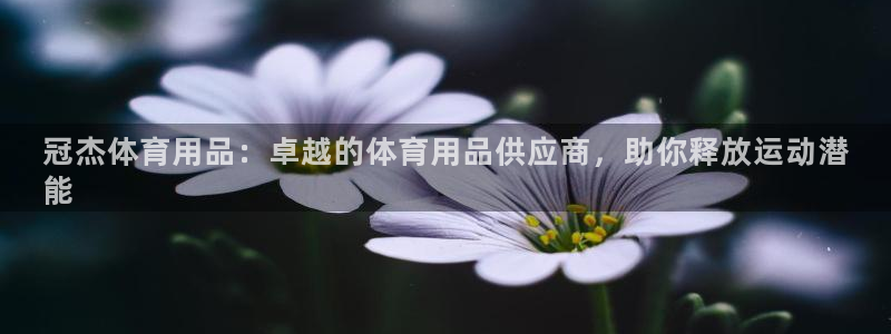 欧陆娱乐登陆平台：冠杰体育用品：卓越的体育用品供应商