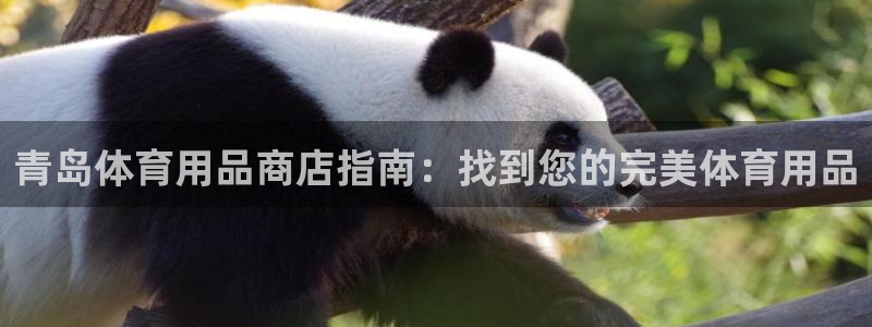 欧陆娱乐会员：青岛体育用品商店指南：找到您的完美体育