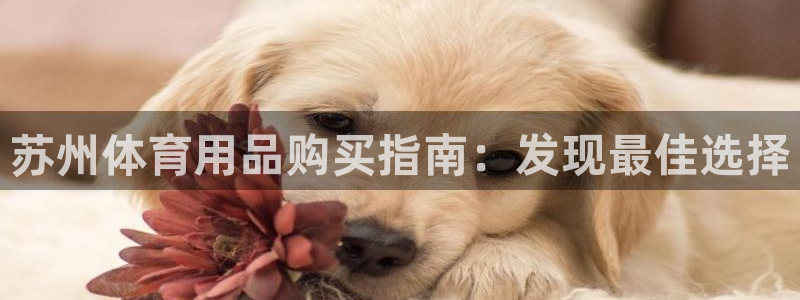 欧陆娱乐代理 贴吧：苏州体育用品购买指南：发现最佳选