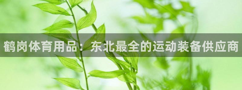 欧陆娱乐挂机怎么玩：鹤岗体育用品：东北最全的运动装备
