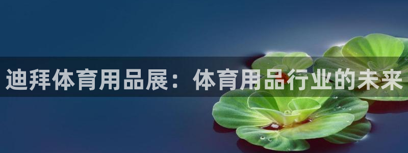 欧陆娱乐公司产品介绍怎么写：迪拜体育用品展：体育用品