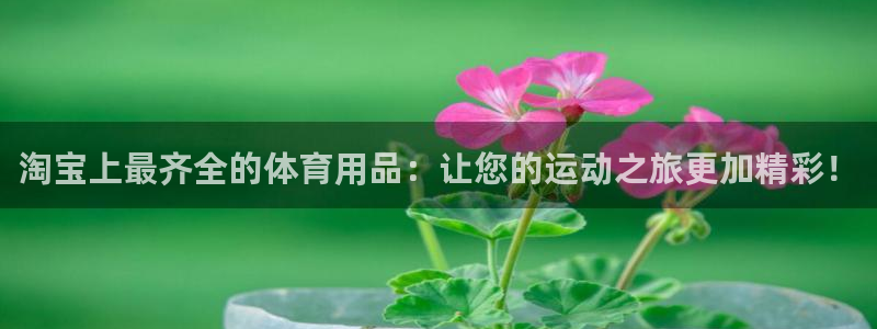 欧陆娱乐官网入口网址：淘宝上最齐全的体育用品：让您的