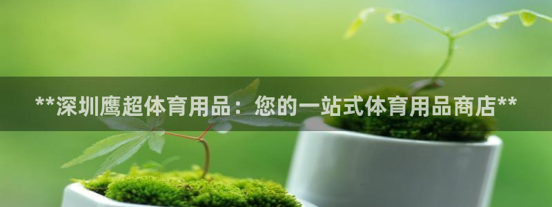 欧陆娱乐客服：**深圳鹰超体育用品：您的一站式体育用