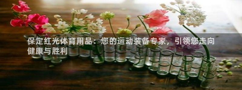 欧陆娱乐客服电话：保定红光体育用品：您的运动装备专家