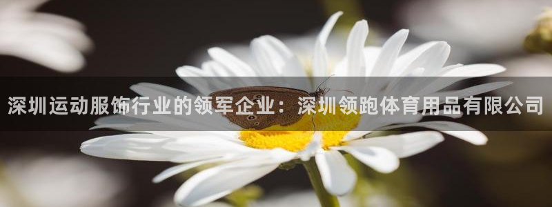 欧陆娱乐平台登录不上怎么办：深圳运动服饰行业的领军企