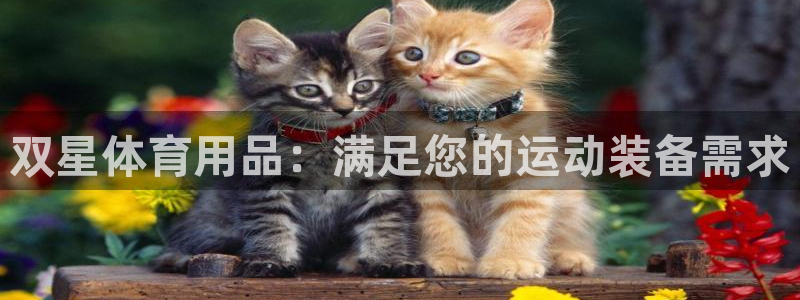 欧陆娱乐平台登录不上去了：双星体育用品：满足您的运动