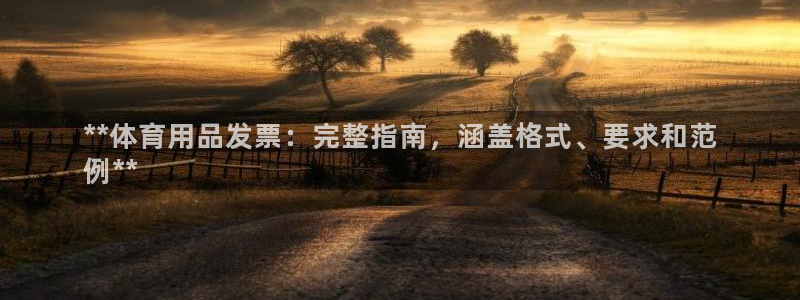 欧陆娱乐官网网址大全：**体育用品发票：完整指南，涵