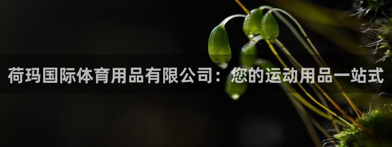 欧陆娱乐测速网站：荷玛国际体育用品有限公司：您的运动