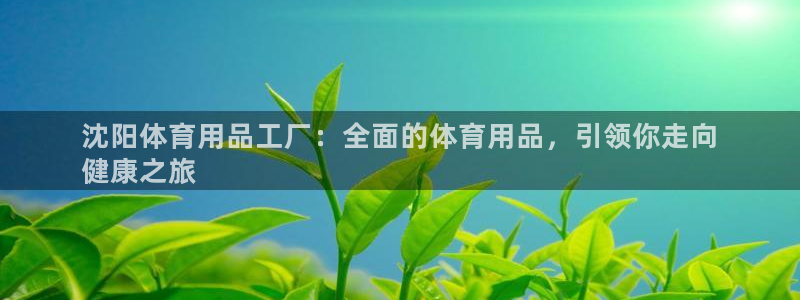 欧陆娱乐注册链接安全吗：沈阳体育用品工厂：全面的体育