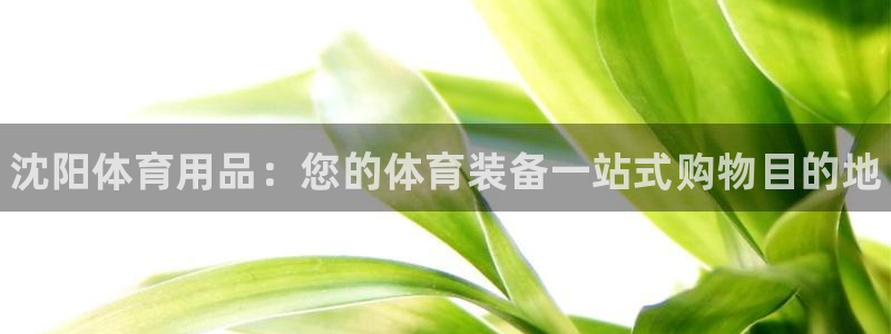 欧陆娱乐怎么注册帐号啊：沈阳体育用品：您的体育装备一